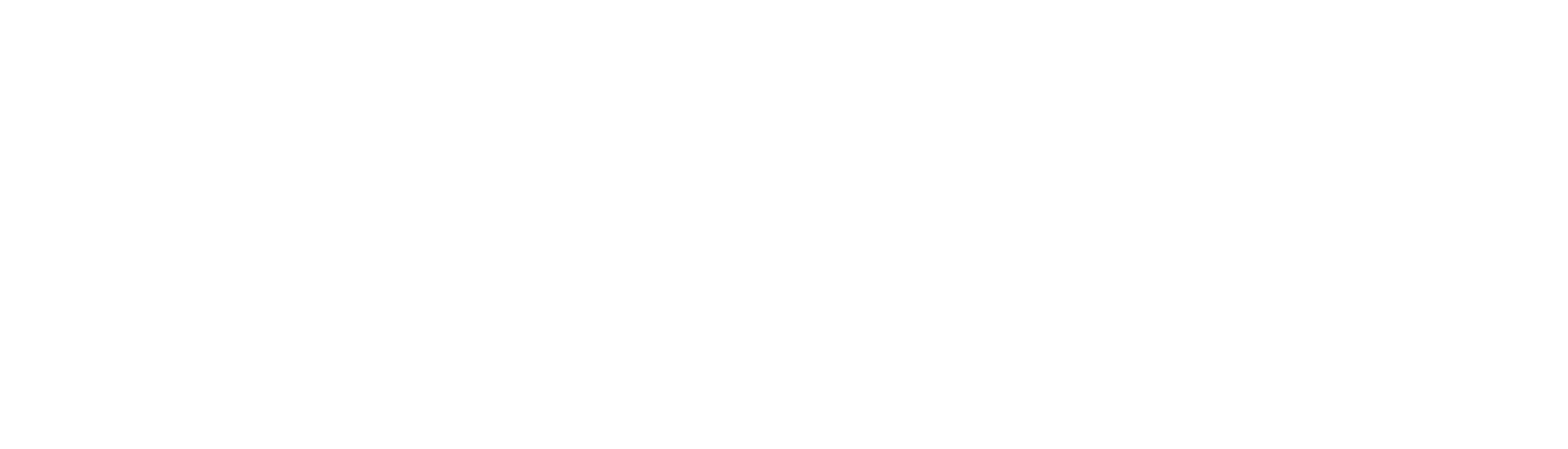 DiPOLE-Logo-White.png