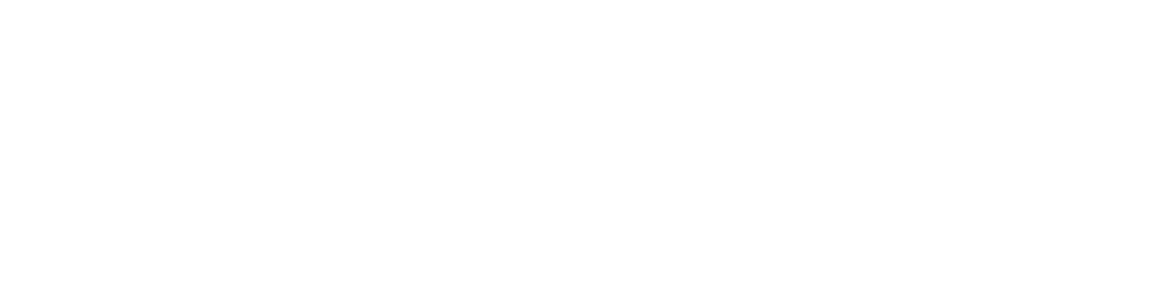 Transreport.png