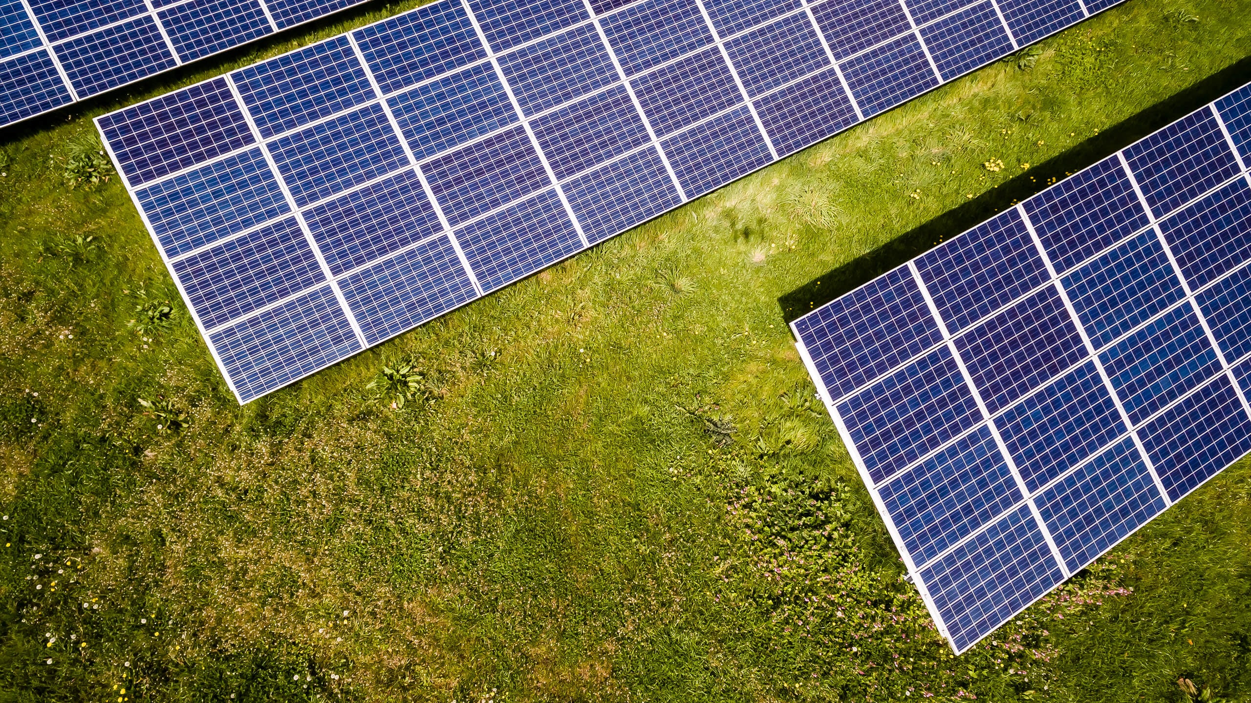 Unsplash Solar Panels Energy