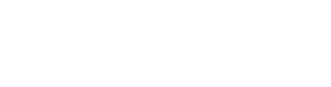 quin logo